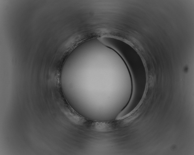 X0000091700766200708240934