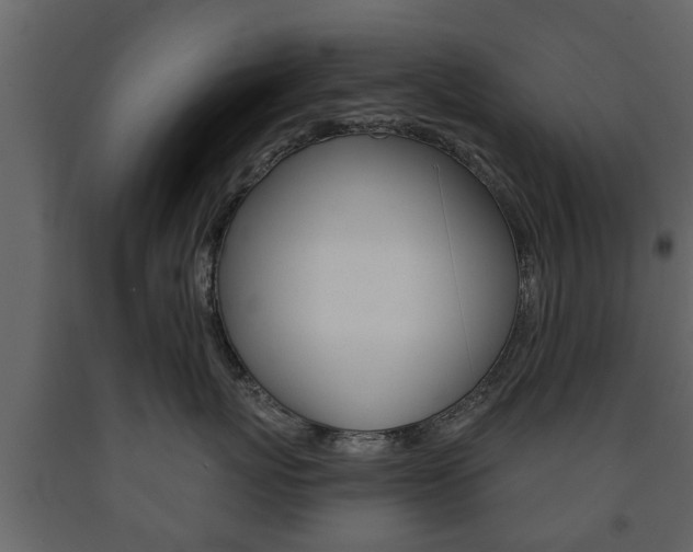 X0000091700767200708240934