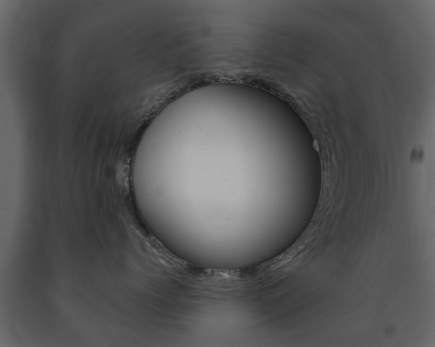 X0000091700768200708240934