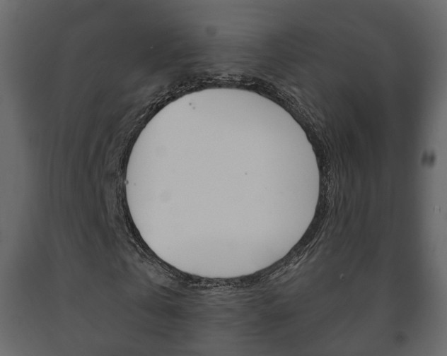 X0000091700769200708240933