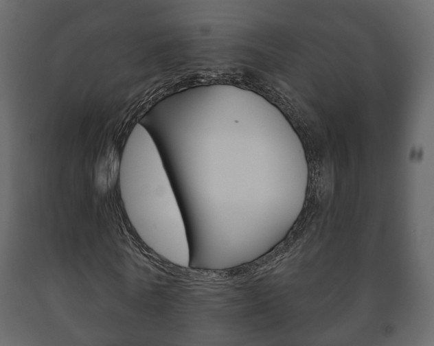X0000091700770200708240933