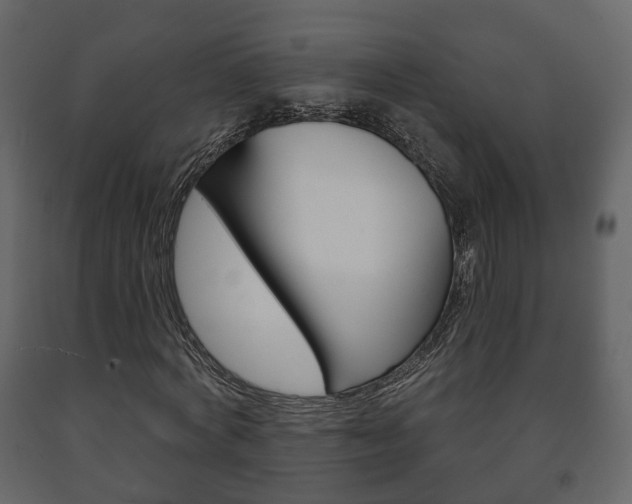 X0000091700772200708240933