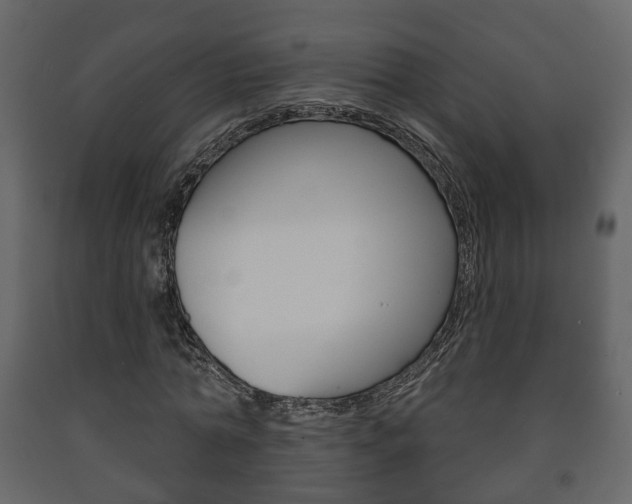 X0000091700774200708240933