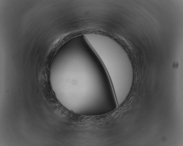 X0000091700776200708240933