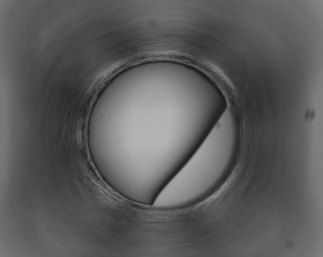 X0000091700777200708240933