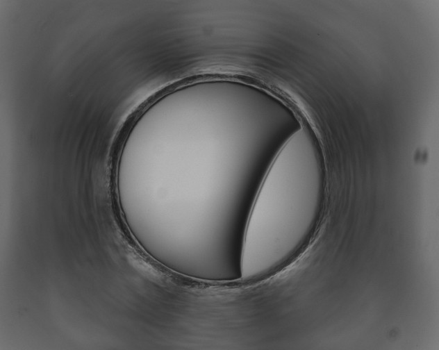 X0000091700779200708240933