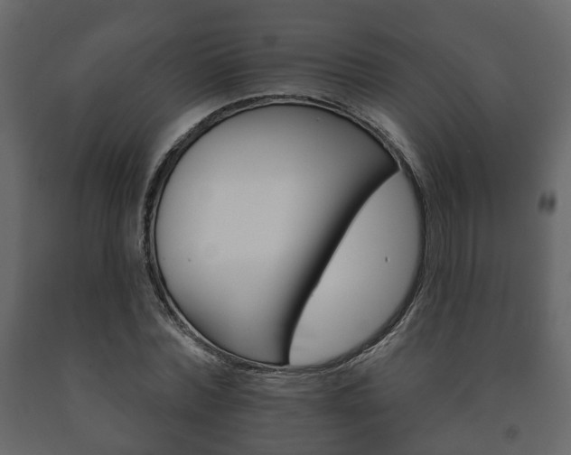 X0000091700780200708240933
