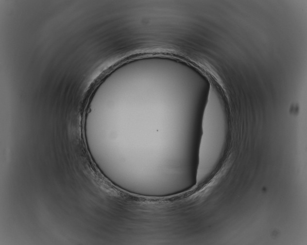 X0000091700781200708240933