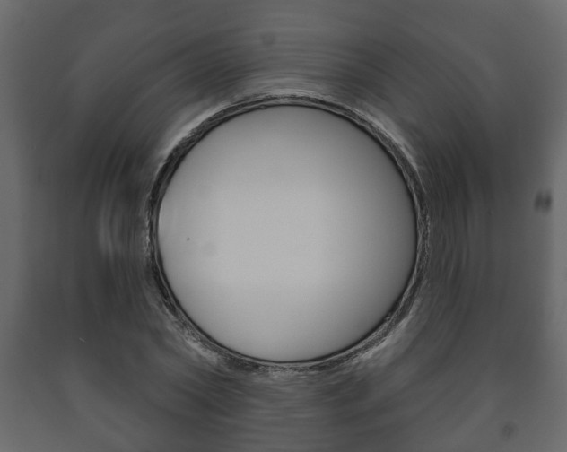 X0000091700782200708240933