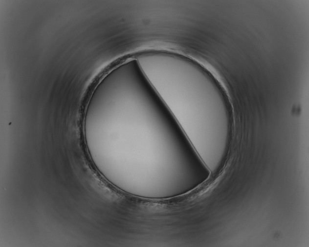X0000091700783200708240933