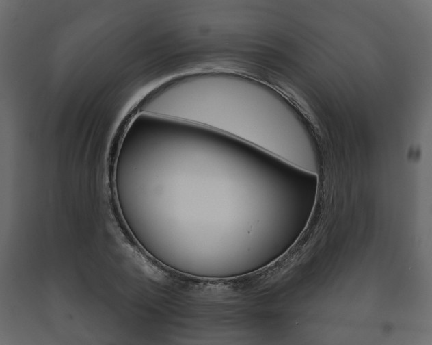 X0000091700784200708240933