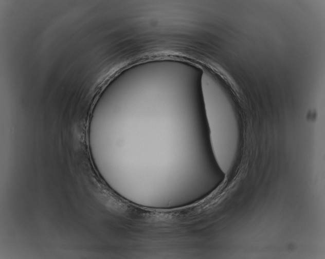 X0000091700785200708240933