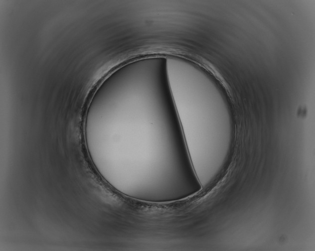 X0000091700786200708240933