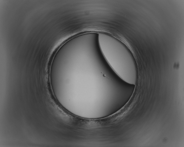 X0000091700787200708240933