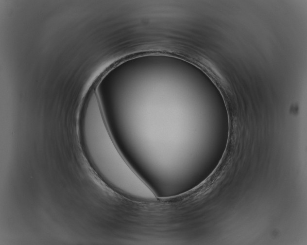 X0000091700788200708240933