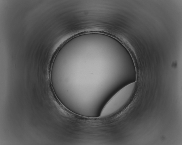 X0000091700789200708240933