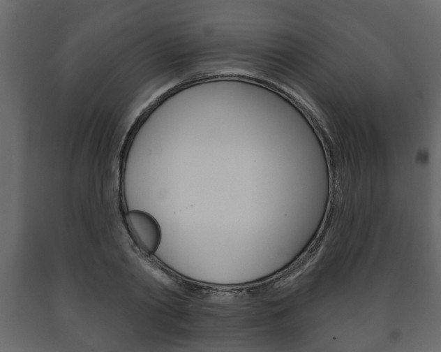 X0000091700790200708240933