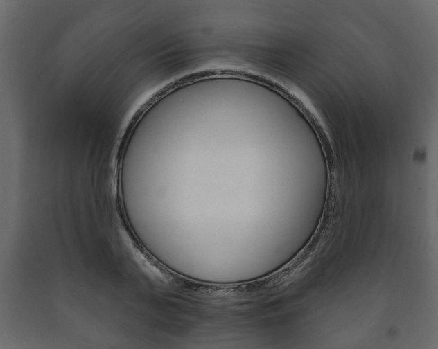 X0000091700791200708240933