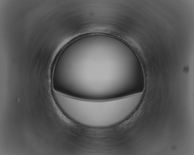 X0000091700792200708240933