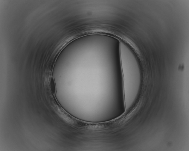 X0000091700793200708240933