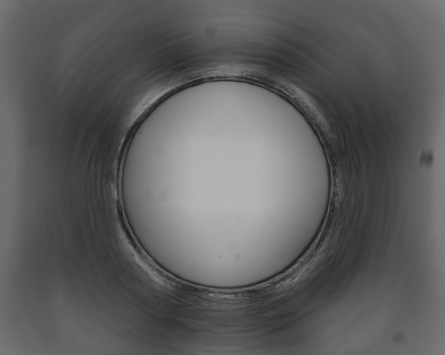 X0000091700794200708240933