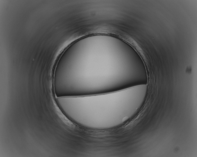 X0000091700795200708240933