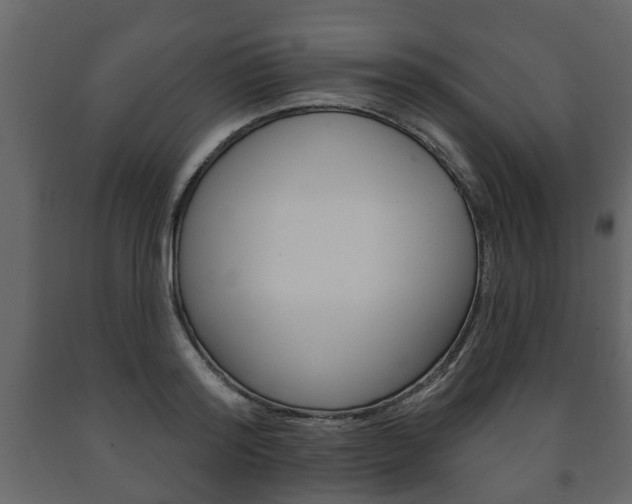 X0000091700796200708240932