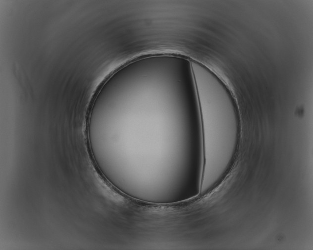 X0000091700797200708240932