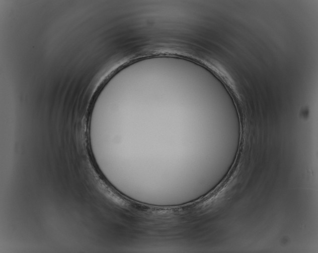 X0000091700798200708240932