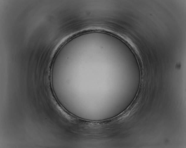 X0000091700799200708240932