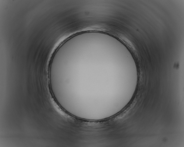 X0000091700800200708240932