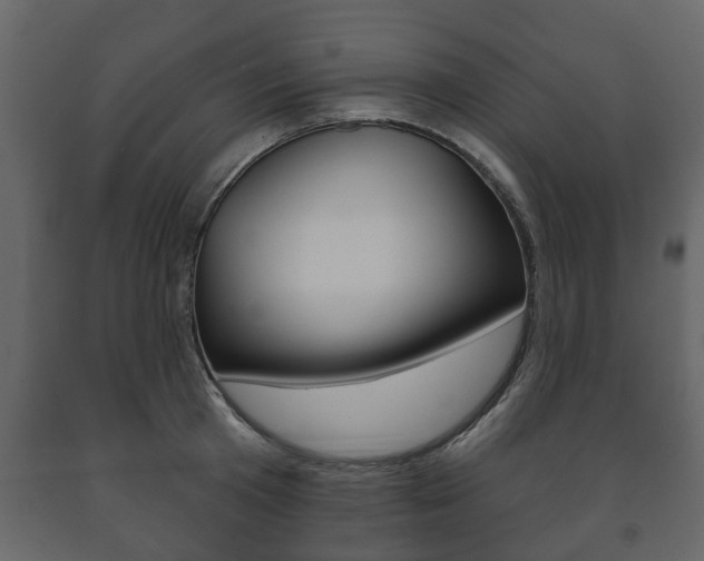 X0000091700801200708240932