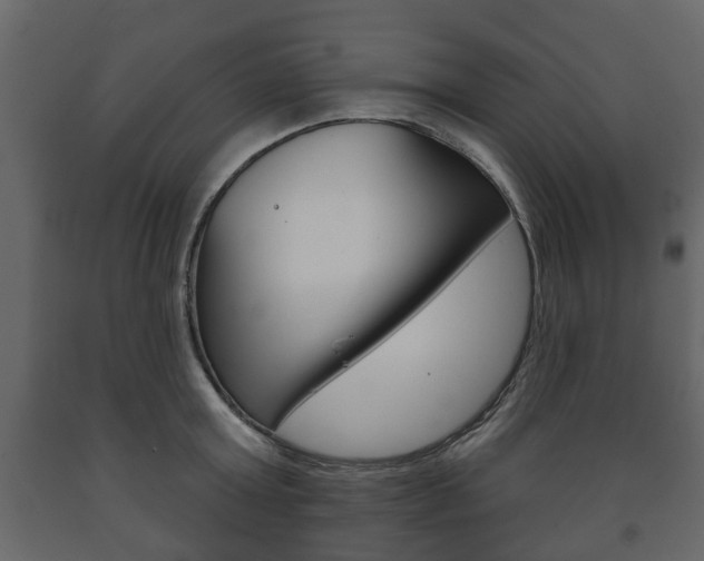 X0000091700803200708240932