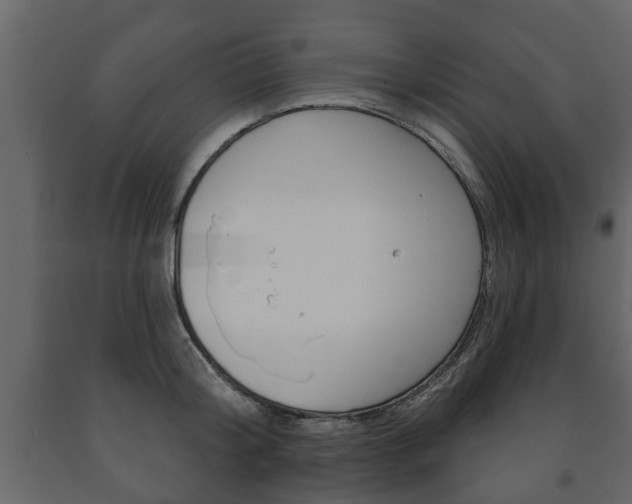 X0000091700804200708240932