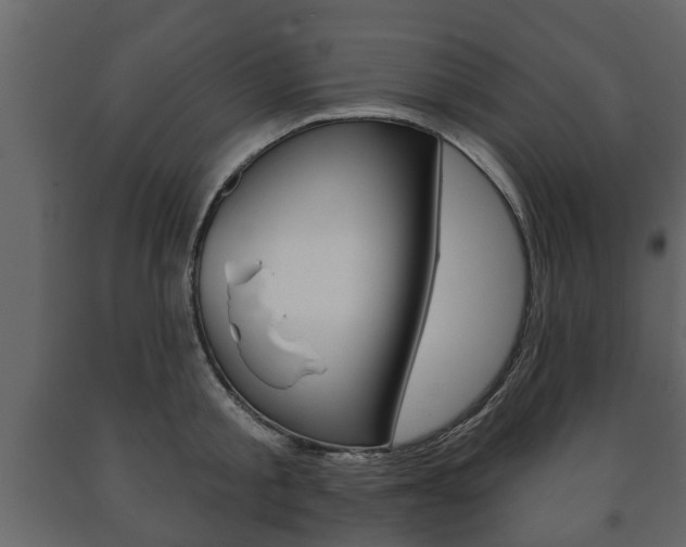 X0000091700805200708240932