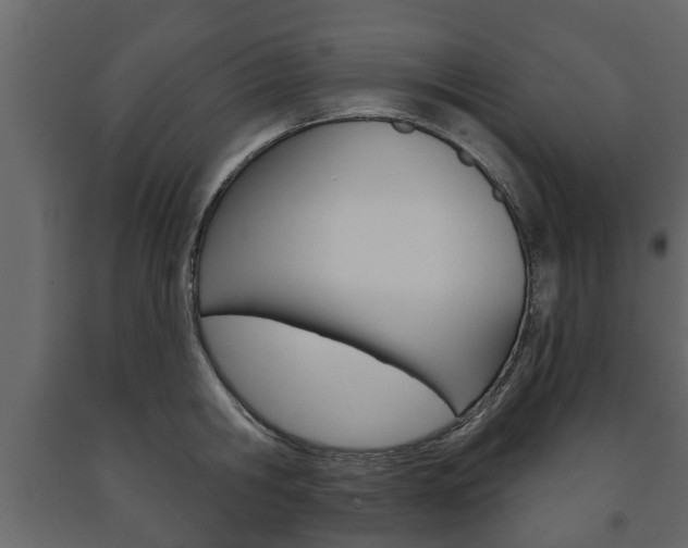 X0000091700806200708240932