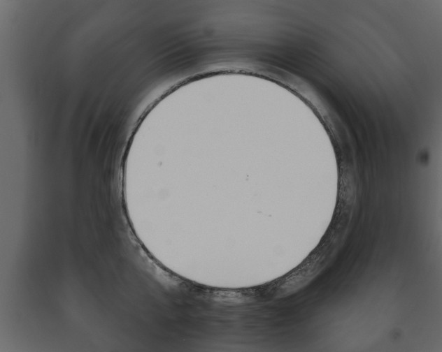 X0000091700807200708240932