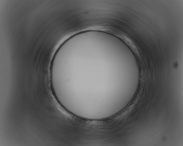 X0000091700808200708240932