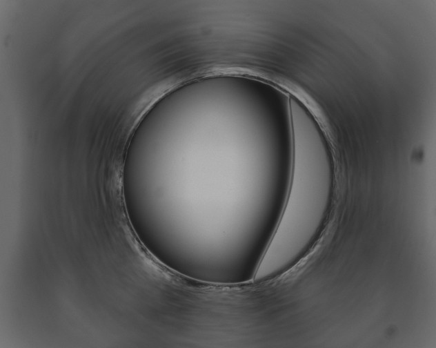 X0000091700809200708240932