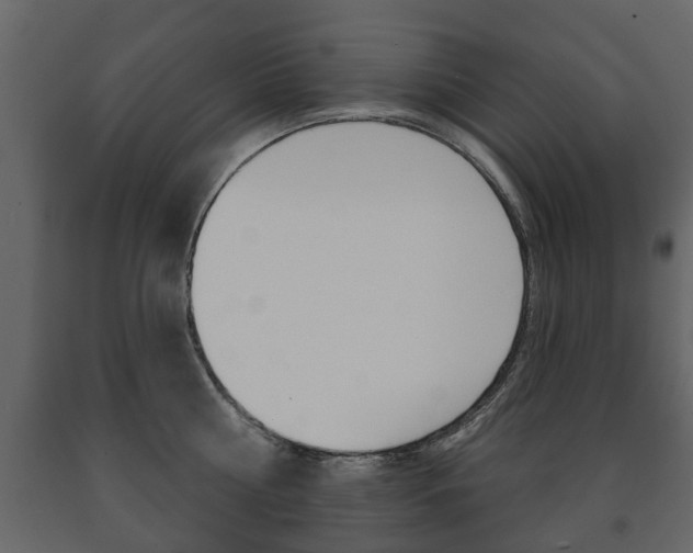 X0000091700810200708240932