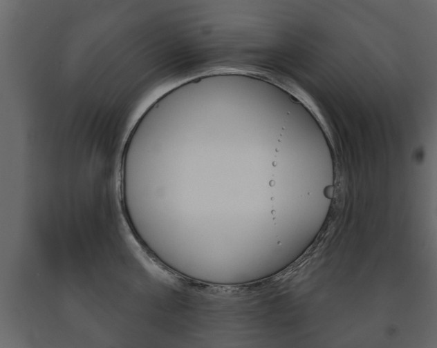 X0000091700811200708240932