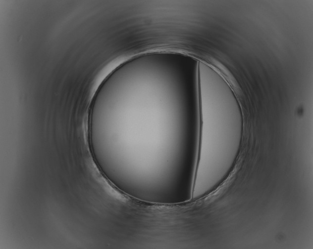 X0000091700812200708240932