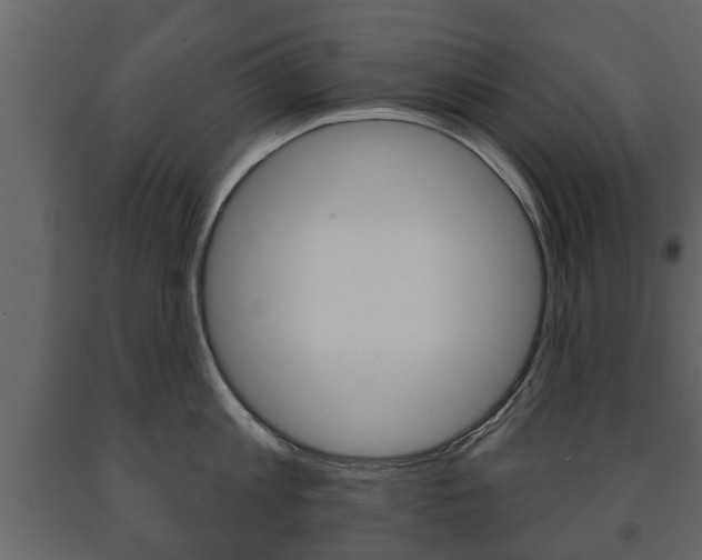 X0000091700813200708240932