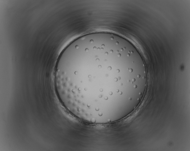 X0000091700814200708240932