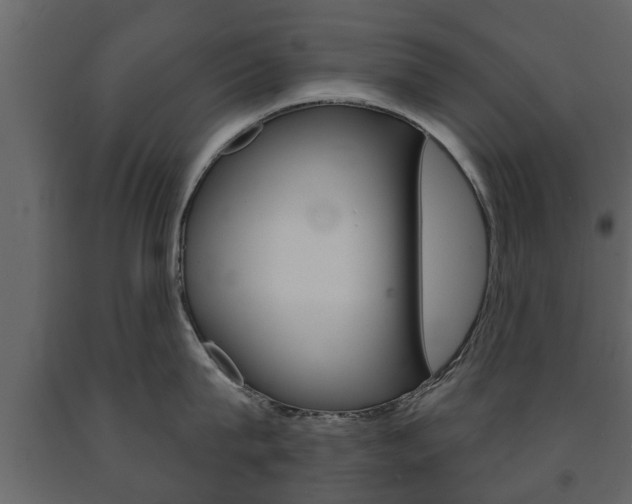X0000091700815200708240932
