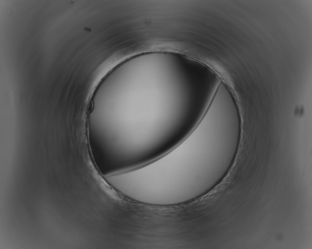 X0000091700816200708240932