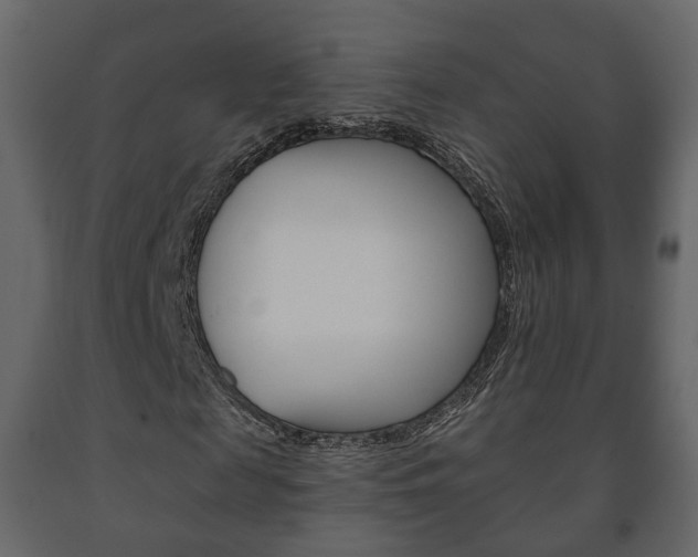X0000091700817200708240931