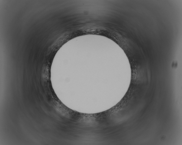 X0000091700820200708240931