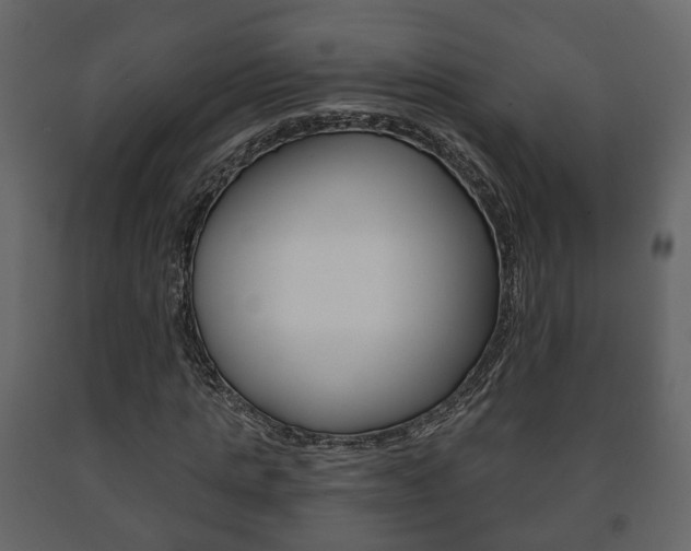 X0000091700821200708240931