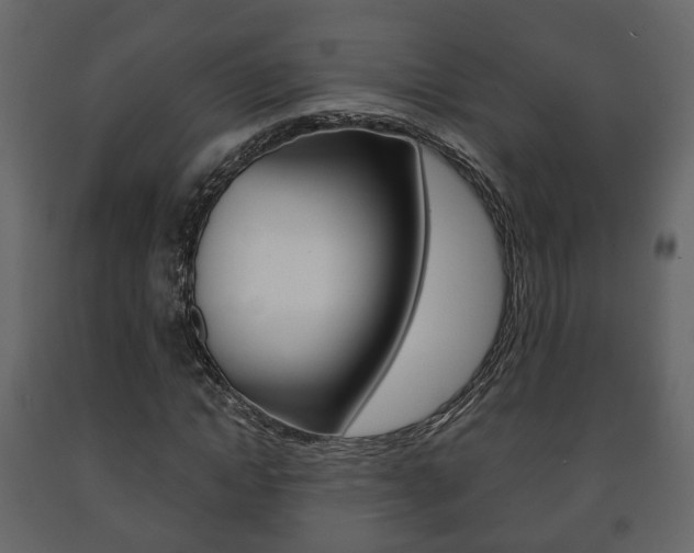 X0000091700822200708240931